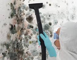 Best Air Quality Testing for Mold Spores in Woodbury, MN